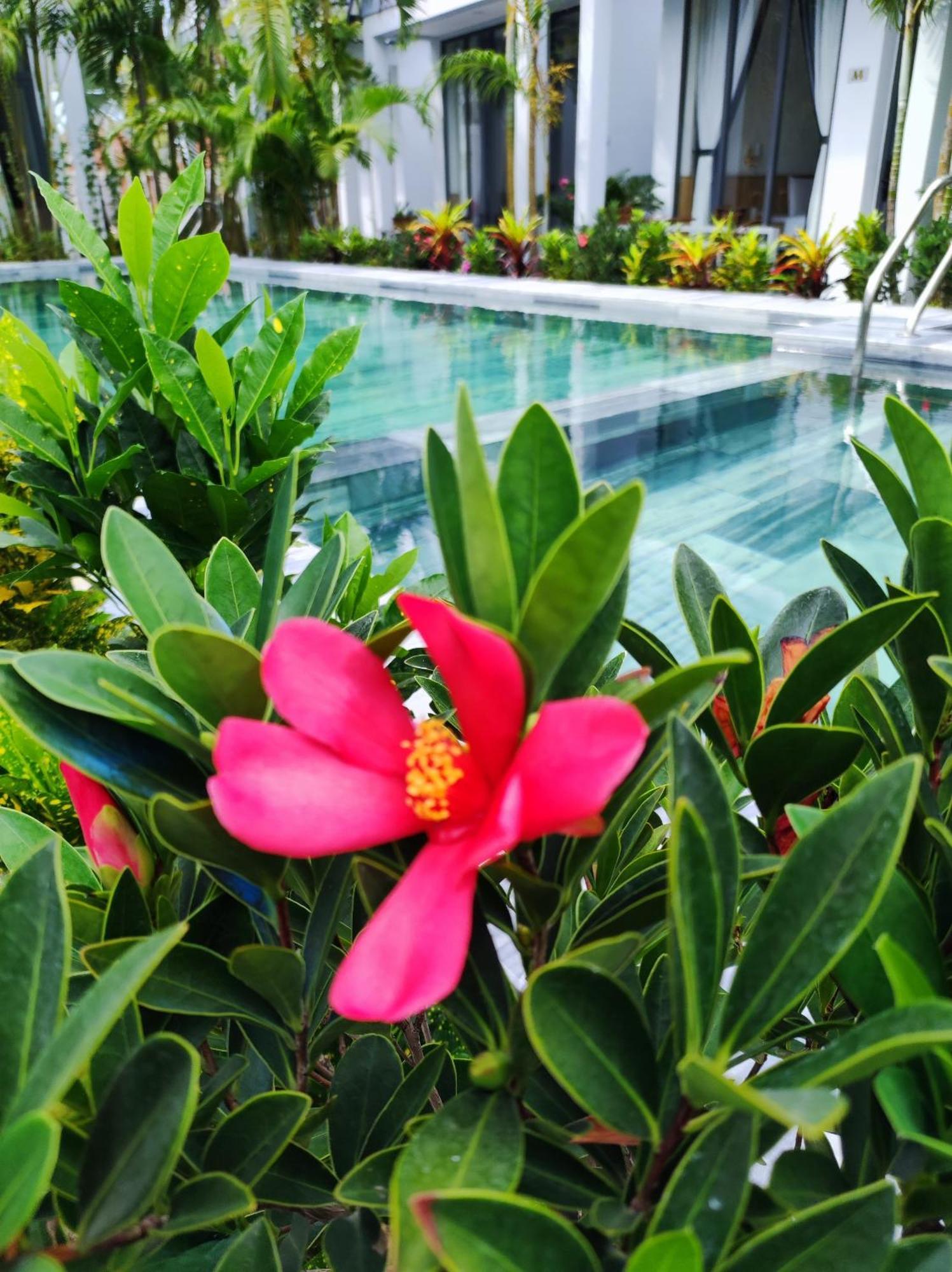 Ngoc Trai Xanh Hébergement de vacances *